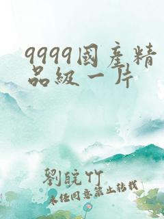 9999国产精品级一片