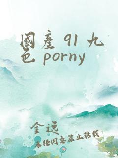 国产 91 九色 porny