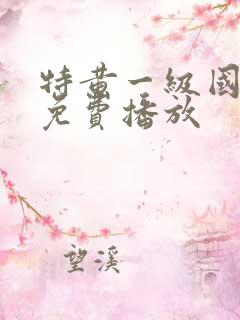 特黄一级国产片免费播放