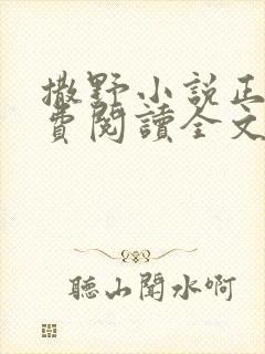 撒野小说正版免费阅读全文无删减