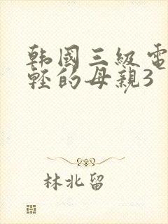 韩国三级电影年轻的母亲3