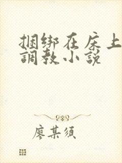 捆绑在床上跳蛋调教小说