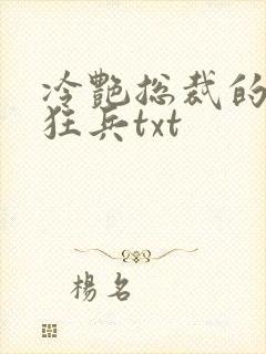 冷艳总裁的贴身狂兵txt