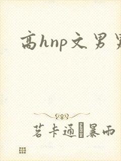 高hnp文男男