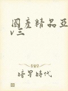 国产精品亚洲av三