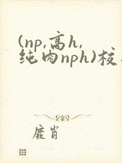 (np,高h,纯肉nph)校园