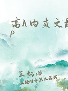 高h肉爽文乱np