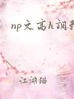 np文高h调教