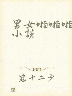 男女啪啪啪高潮小说