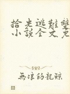 拾光逃难双胞胎小说全文免费阅读