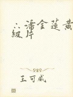 ∴潘金莲黄色一级片