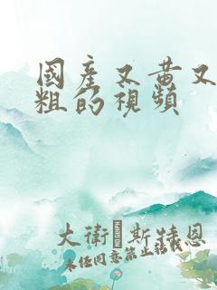 国产又黄又硬又粗的视频