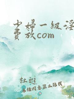 少妇一级淫片免费放com