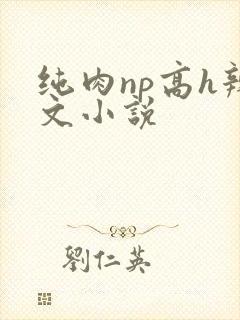 纯肉np高h辣文小说