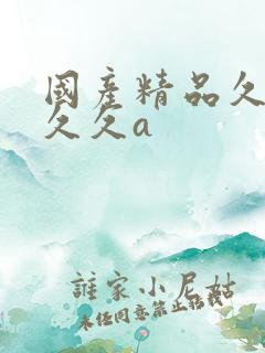 国产精品久久久久久a