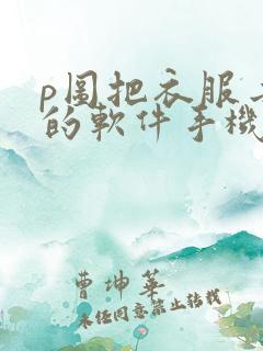 p图把衣服去掉的软件手机版