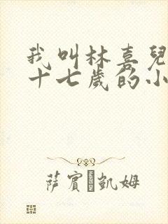 我叫林喜儿今年十七岁的小说在线阅读