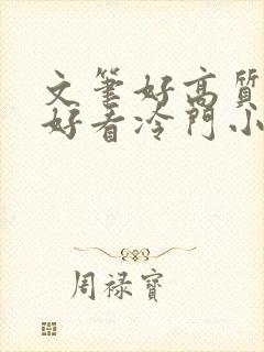 文笔好高质量超好看冷门小说