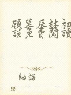 顾慕辰林初荔小说免费阅读最新章节