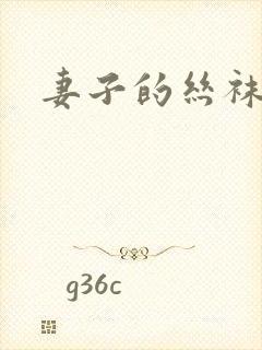 妻子的丝袜小说