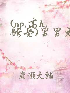 (np,高h,骚受)男男文