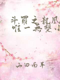 斗罗之龙凰传说 唯一无双小说