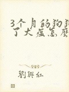 3个月的狗狗得了犬瘟怎么自救