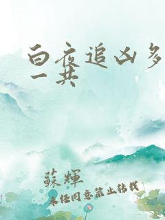 白夜追凶多少集一共