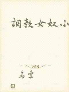 调教女奴小说网