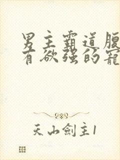 男主霸道腹黑占有欲强的宠文