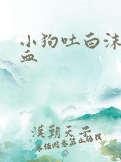 小狗吐白沫带点血