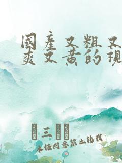 国产又粗又猛又爽又黄的视频先