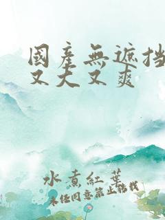 国产无遮挡又黄又大又爽