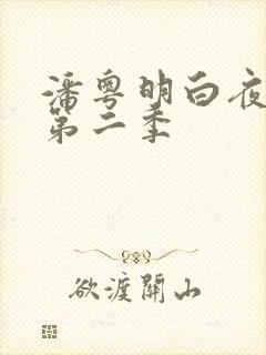 潘粤明白夜追凶第二季