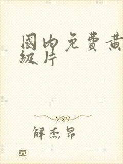 国内免费黄色一级片