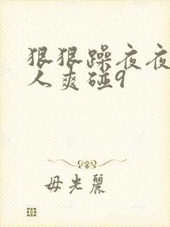 狠狠躁夜夜躁人人爽碰9