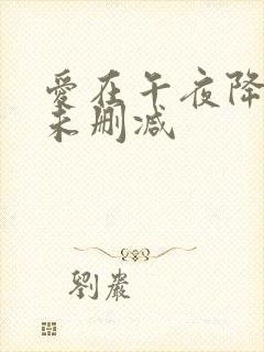 爱在午夜降临前未删减