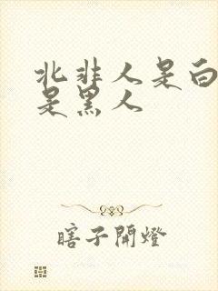 北非人是白人还是黑人