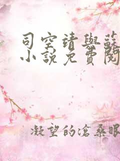 司空靖与苏月汐小说免费阅读