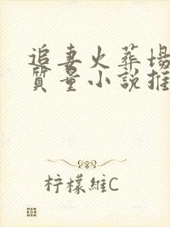 追妻火葬场的高质量小说推荐