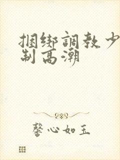 捆绑调教少妇强制高潮