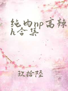 纯肉np高辣文h合集