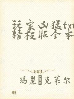 玩家凶猛txt精校版全本下载