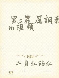 男s严厉调教女m视频