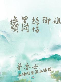 操黑丝御姐的视频网站