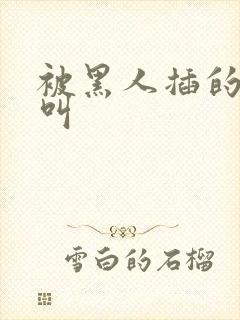 被黑人插的嗷嗷叫