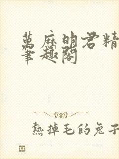 万历明君精校版笔趣阁