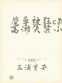 魔尊被狂c躁到高潮失禁小说