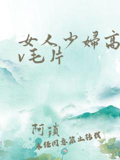 女人少妇高潮av毛片