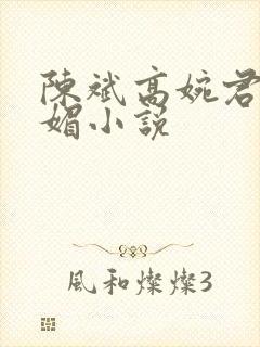 陈斌高婉君赵心媚小说